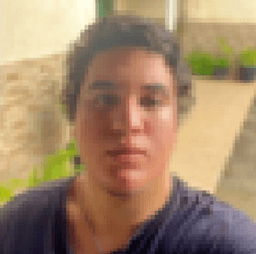 perfil