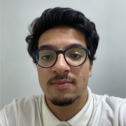perfil